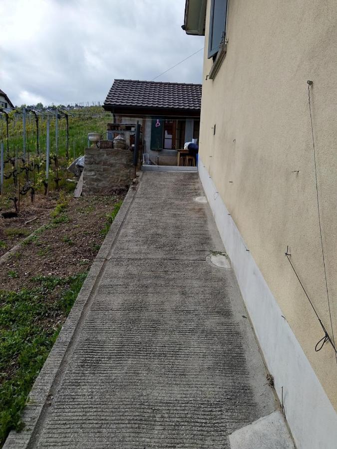 Charmante Maison Au Coeur Du Lavaux, Cully, Cuisine, Wifi, Les Echalas Экстерьер фото